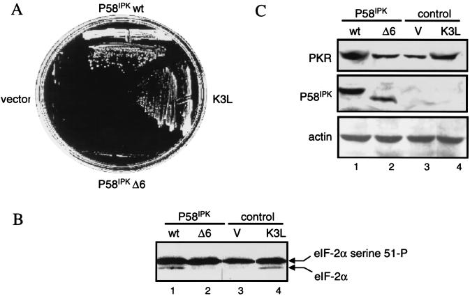 FIG. 9