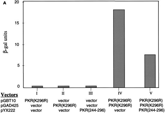 FIG. 6