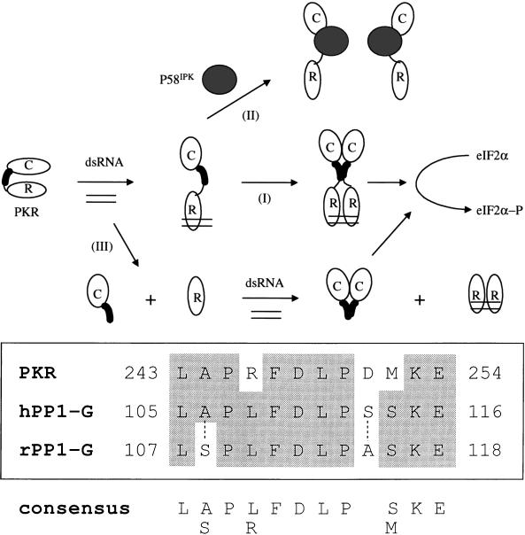 FIG. 10