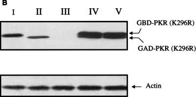 FIG. 6