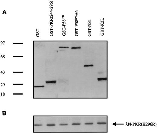 FIG. 8