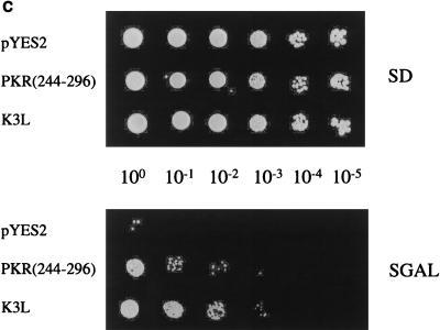 FIG. 6