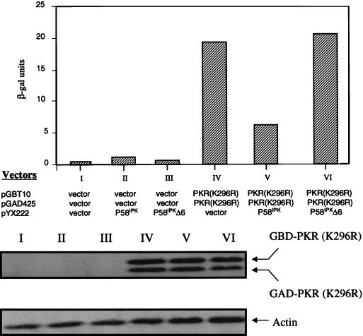 FIG. 7