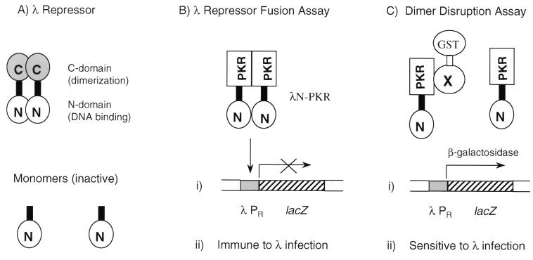 FIG. 1