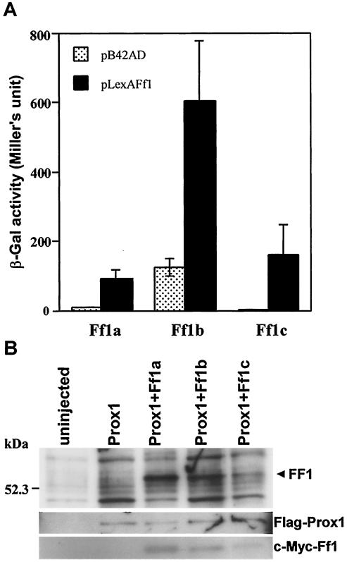 FIG. 1.