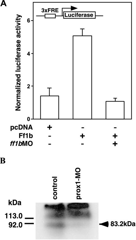 FIG. 7.