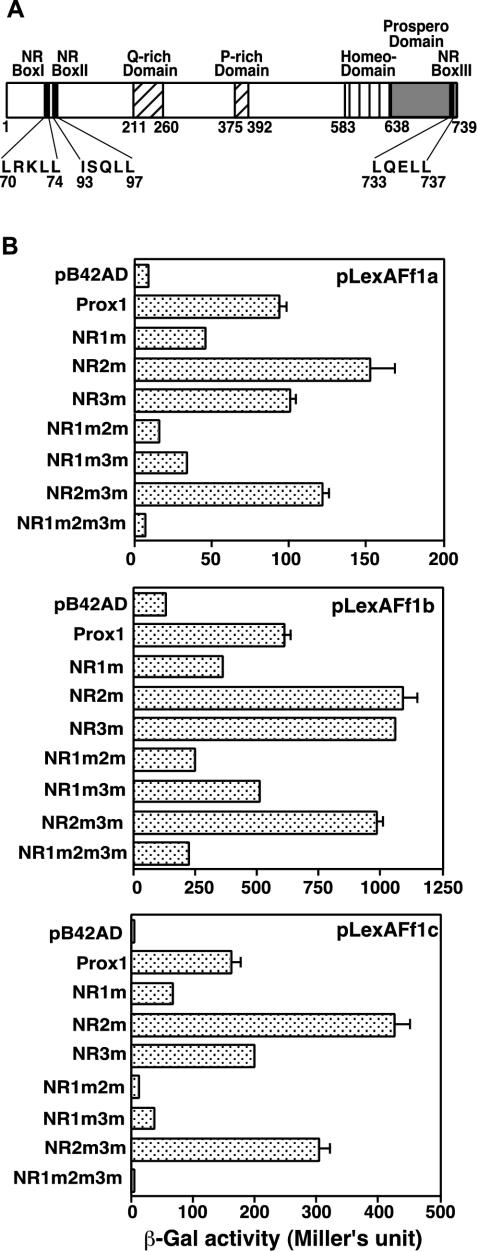 FIG. 2.