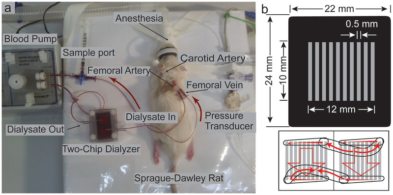 Figure 6.