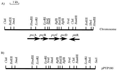 FIG. 1