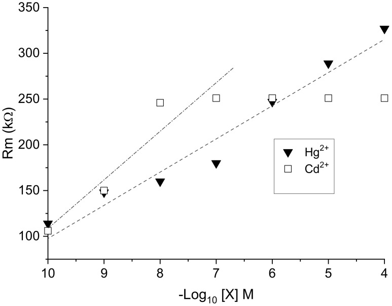 Figure 12