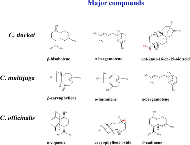 FIGURE 11