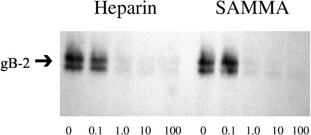 FIG. 8.