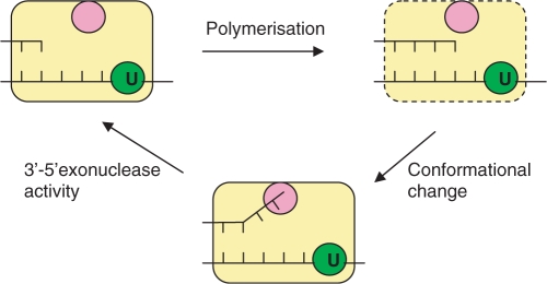 Figure 7.