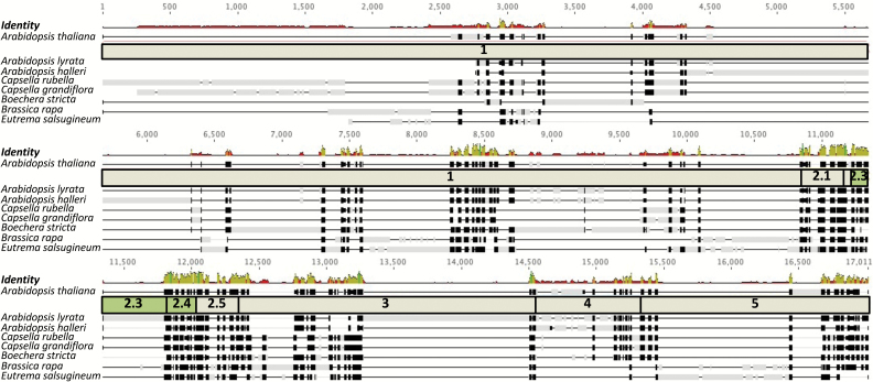 Fig. 6.