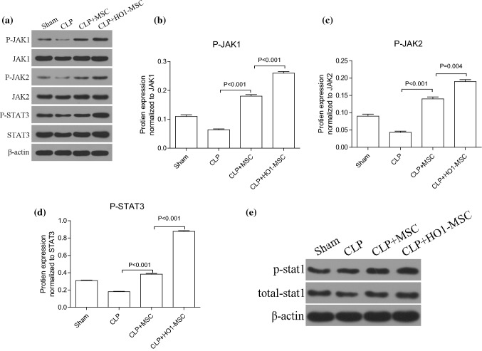 Figure 6