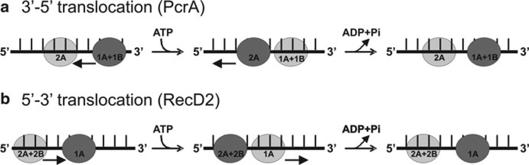 Fig. 2.5