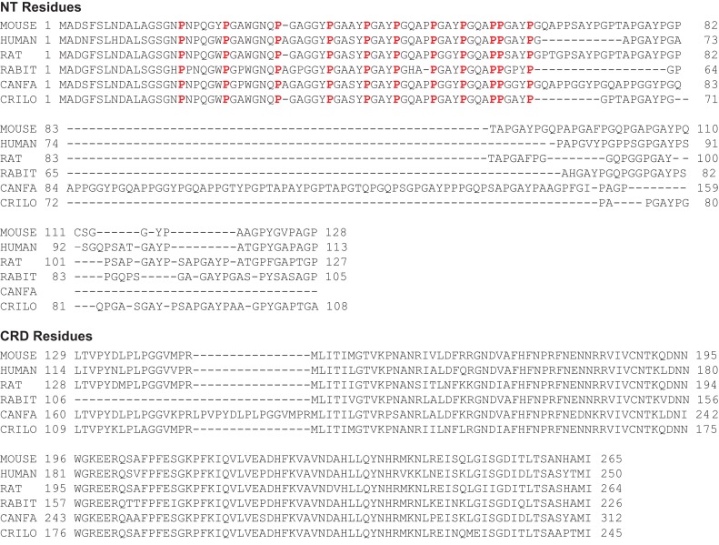 Fig. 11.