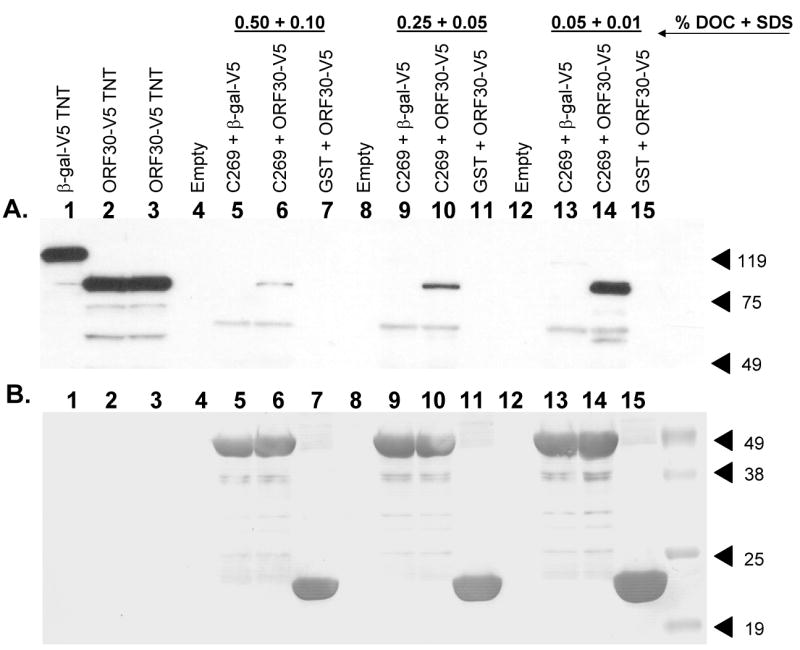 Fig. 8