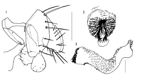 Figures 1–3.