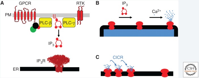 Figure 2.