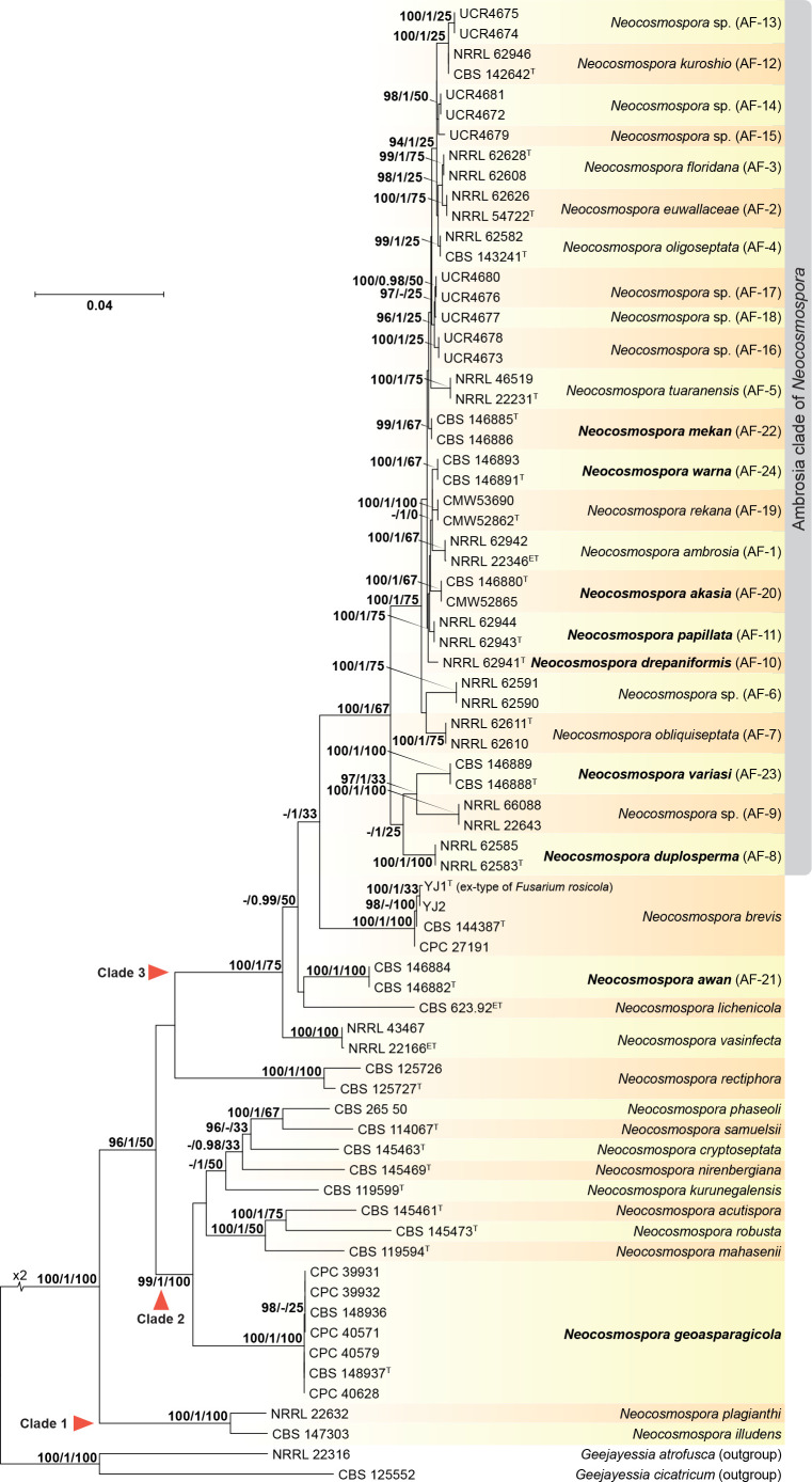 Fig. 3.