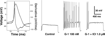 Fig. 8.