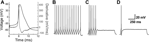 Fig. 3.