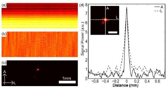 Fig. 2