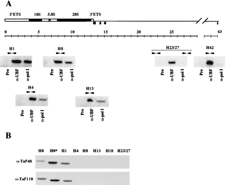 FIG. 8.