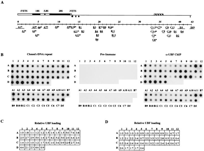 FIG. 5.