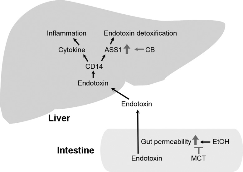 Fig. 9.