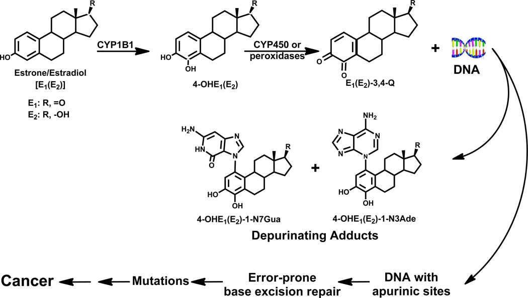 Figure 19