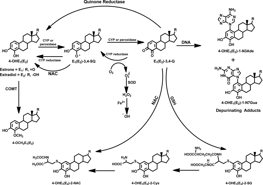 Figure 32