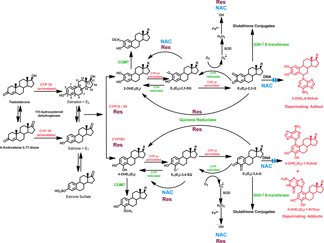 Figure 17