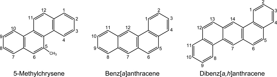 Figure 8