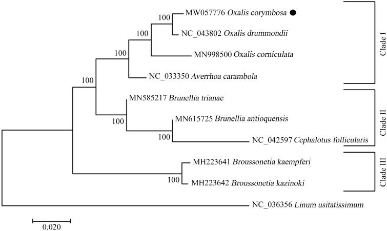 Figure 1.