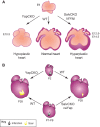 Fig. 4.