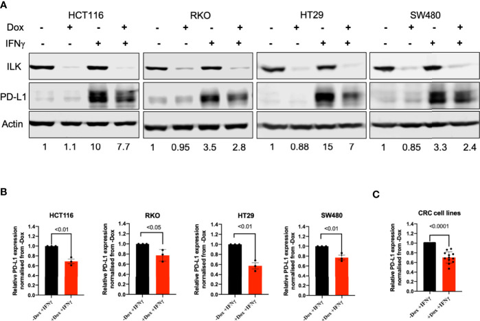 Figure 10