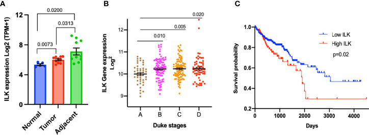 Figure 2