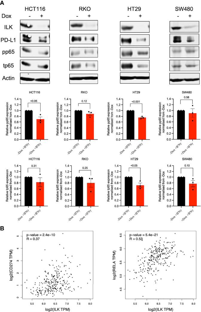 Figure 11