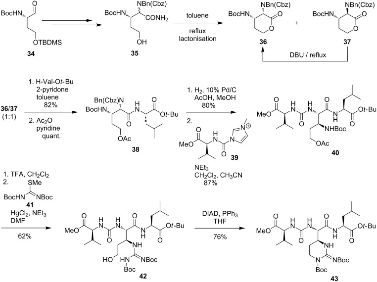 Scheme 5