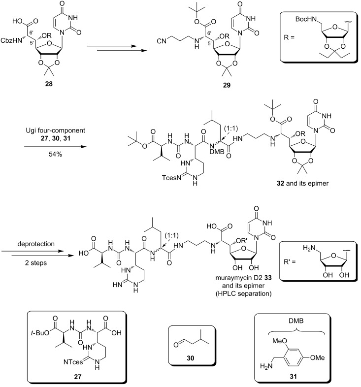 Scheme 4