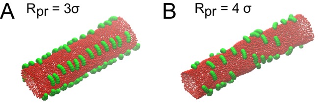 Figure 6—figure supplement 1.