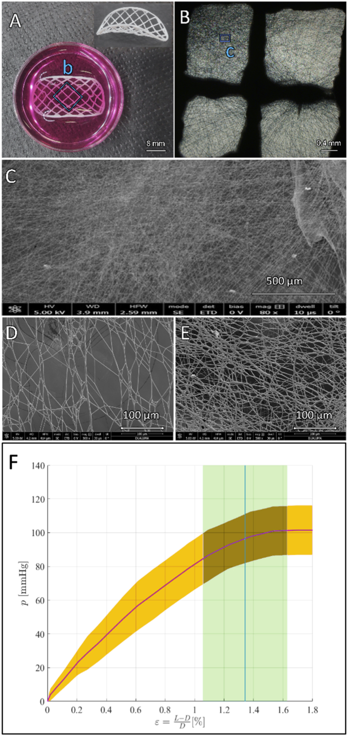 Fig. 3