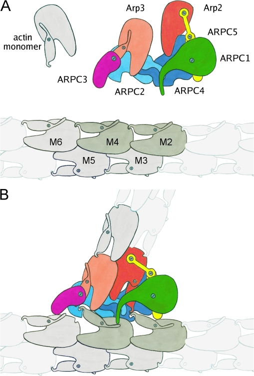 Figure 5.