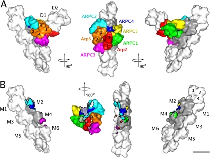 Figure 4.