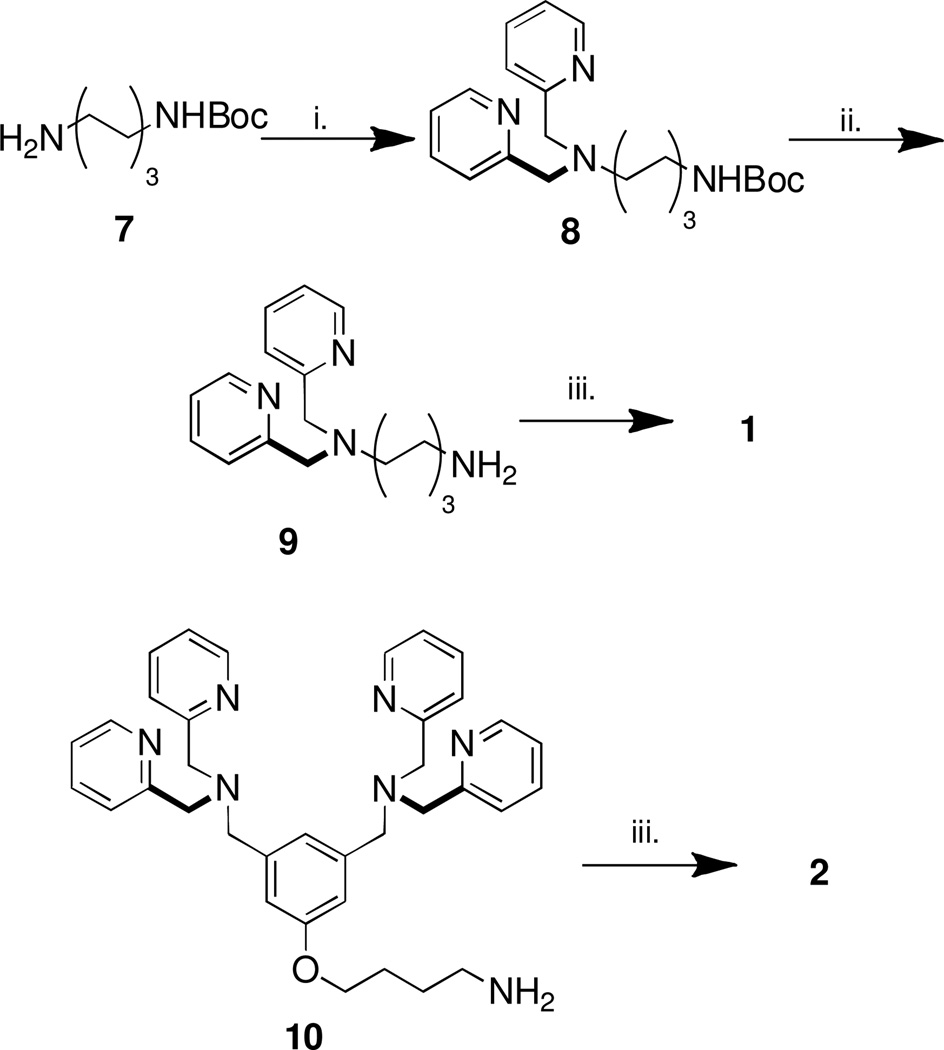 Scheme 1