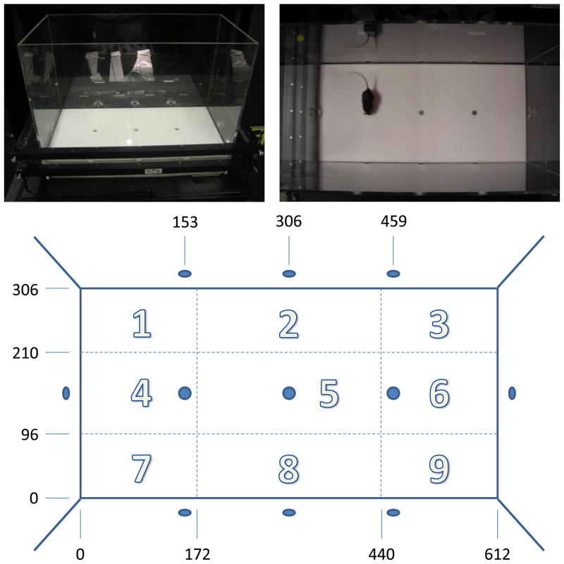 Fig. 1