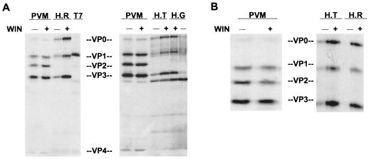 FIG. 7