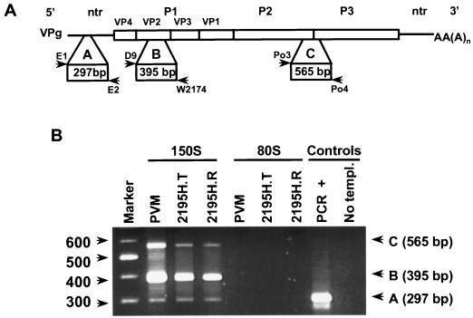 FIG. 6